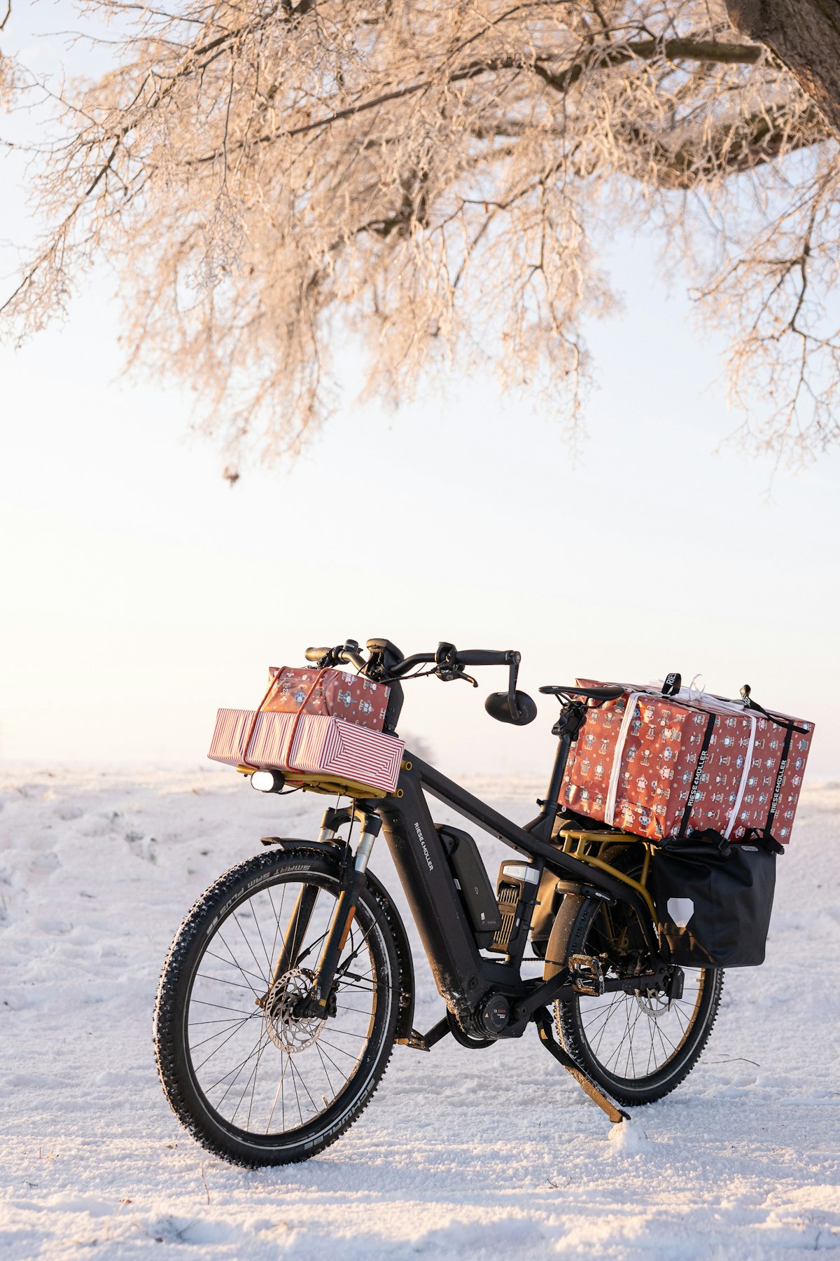Bicycle with a rear basket