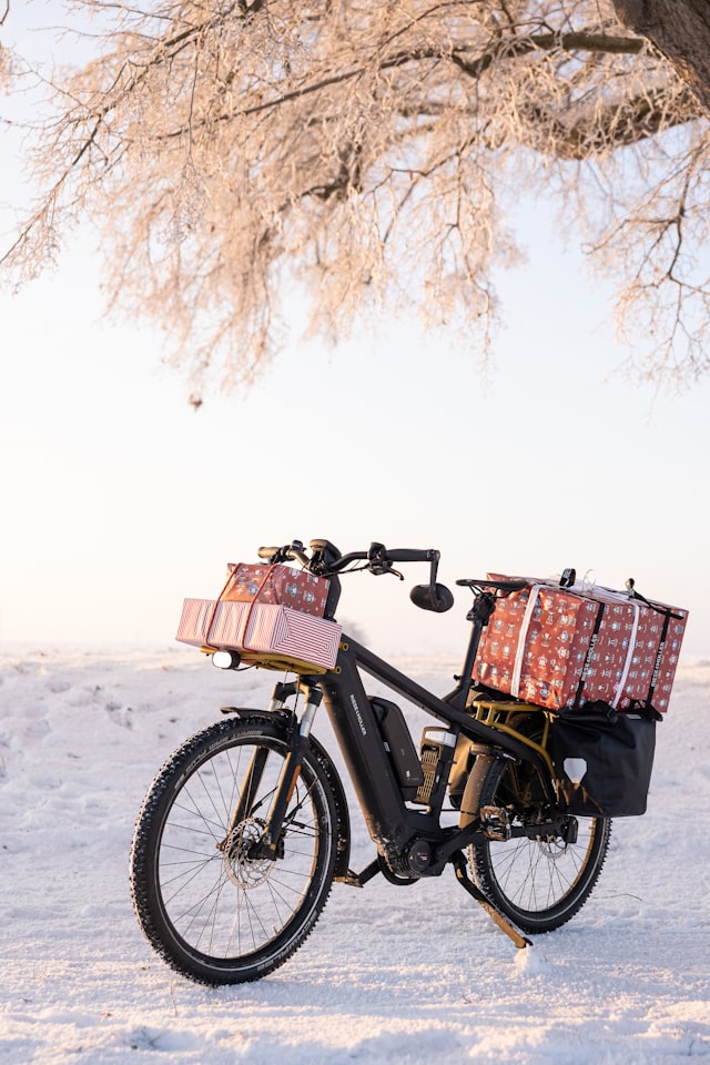 Bicycle with a rear basket